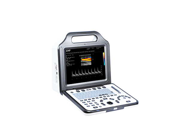 N5（1）